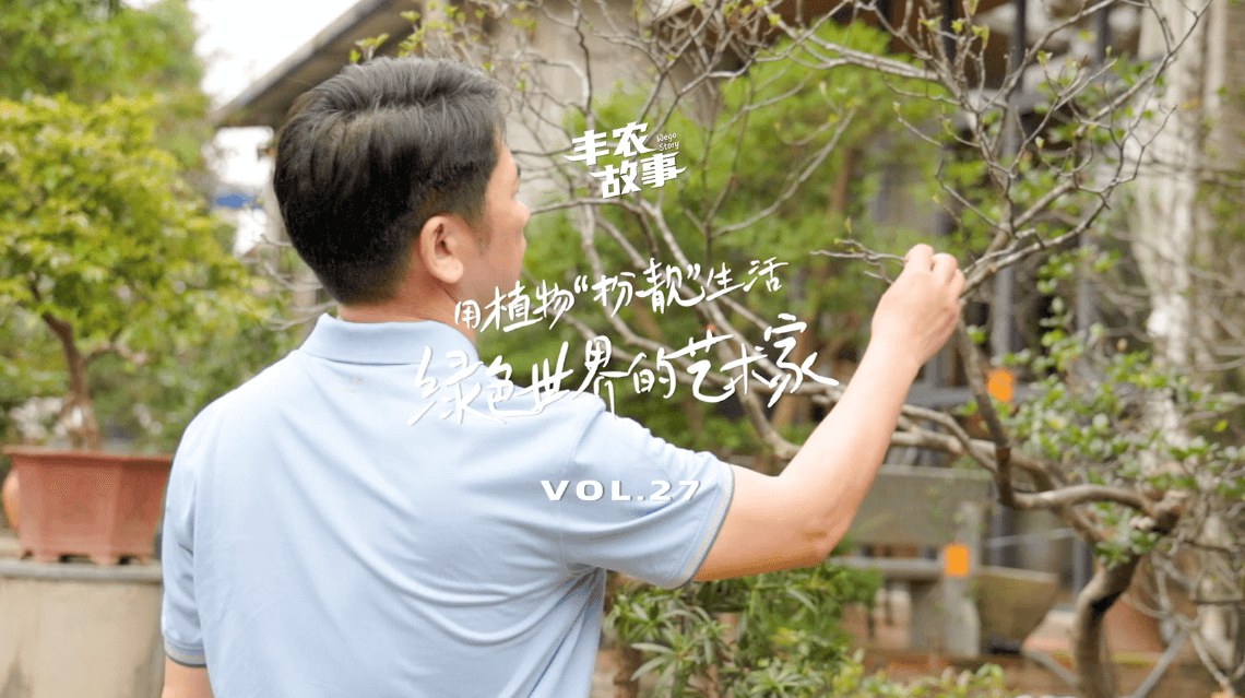 17年，他用一草一木去点亮了一个个家。