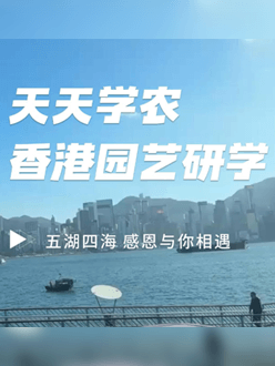 与香港园艺学会联合举办香港园艺研学，专业园境师带队讲解。