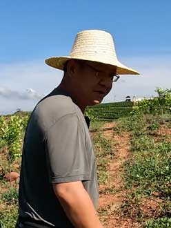 农业人叶涛，50多岁通讯人跨界搞农业，他要用1000万打造一个梦。